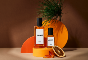 Zwei Karma Parfüms stehen auf einem orangenen Podest. Neben dem Podest liegt eine getrocknete Orangenscheibe und ein Tannenzweig wirft erbeb Schatten auf die beiden Parfümfalschen. 
