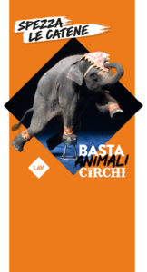 Basta Animali Nei Circhi, immagine per la campagna Lush supporta LAV, c'è un elefante in bilico su una sola gamba sopra al classico sgabellino, con i paramenti da festa...