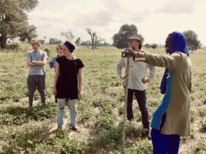 Jiwnit in Senegal, making treebogs