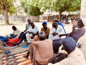 Jiwnit in Senegal, making treebogs