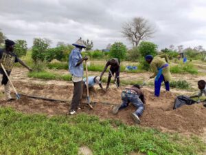 Jiwnit in Senegal, making treebogs